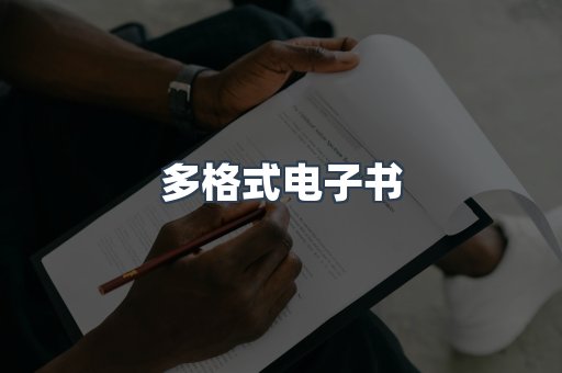 多格式电子书